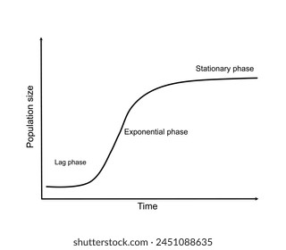 The Growth curves are used to show the relationship between population size and the period of population growth which consists of a lag, Exponential or log, and stationary phase.