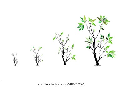 Growth garden - business management concept
