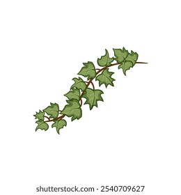 growth green ivy cartoon. lush wall, garden outdoor, indoor decor  sign. isolated symbol vector illustration