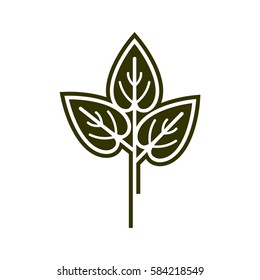 Growth Green Leaves Logo Template Illustration Design. Vector EPS 10.