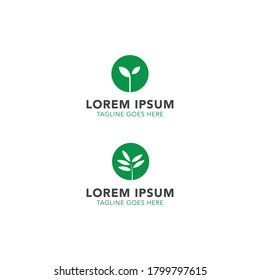 Growth Leaf logo design concept