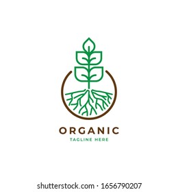 Growth logo illustration vector template