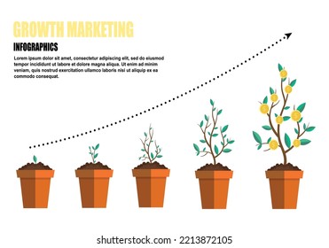 Growth marketing the way to achieve the goal, growing plant stages grow process. vector illustration.