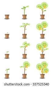 The Growth Of A Money Tree. Vector Illustration