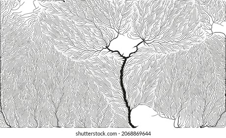 Growth pattern. Generative branching structure. Organic net of vessels texture.