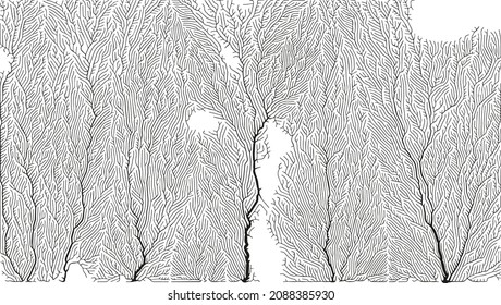 Growth pattern. Generative branching structure. Organic net of vessels texture.
