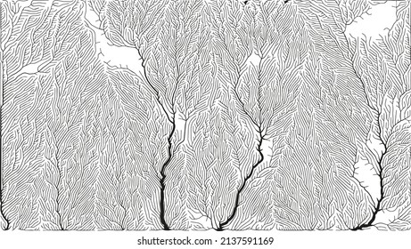 Growth pattern. Generative branching structure. Organic net of vessels texture.