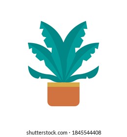 planta de crecimiento de la cacerola de cerámica de estilo plano icono de diseño de vectores