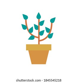 growth plant in ceramic pot flat style icon vector illustration design