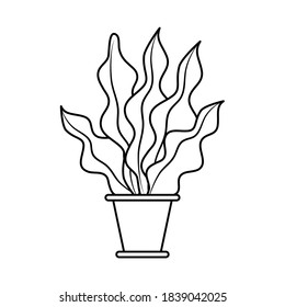 growth plant in ceramic pot line style icon vector illustration design