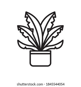 growth plant in ceramic pot line style icon vector illustration design