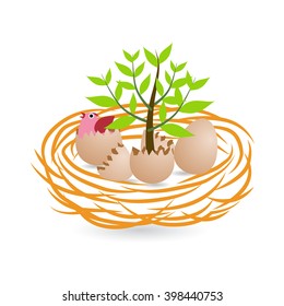 Growth plant from eggs, vector illustration
