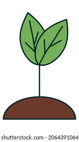 growth plant icon on white background