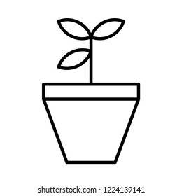 growth  plant  increase  