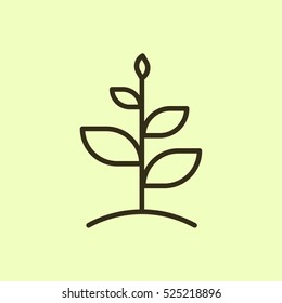 Growth Plant Minimalistic Flat Line Outline Stroke Icon Pictogram Symbol