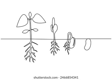 Growth plant processing single line art continuous one line drawing of Isolated outline vector art