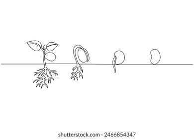 Growth plant processing single line art continuous one line drawing of Isolated outline vector art