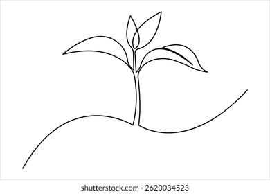 Growth plant in single continuous Line drawing. Sprout with leaves in simple linear style isolated vector illustration