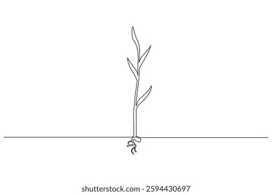 Growth plant tree drawing single line art from line vector art isolated white background, vector illustration