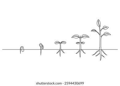 Growth plant tree drawing single line art from line vector art isolated white background, vector illustration