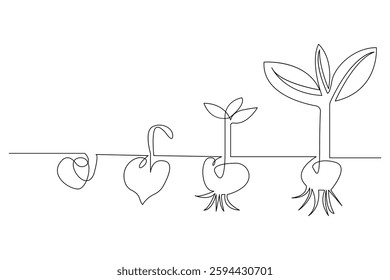 Growth plant tree drawing single line art from line vector art isolated white background, vector illustration