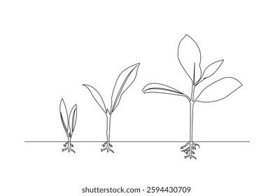 Growth plant tree drawing single line art from line vector art isolated white background, vector illustration