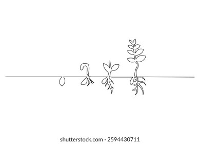 Growth plant tree drawing single line art from line vector art isolated white background, vector illustration
