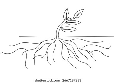  Plantas de crescimento contínuo um desenho de linha sobre fundo branco