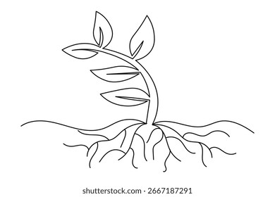  Growth plants continuous one line drawing on white background