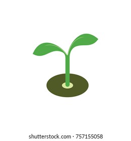 Growth seed logo design vector