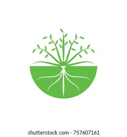 Growth seed logo design vector