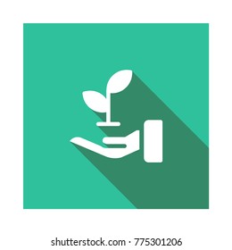  growth Square flat
