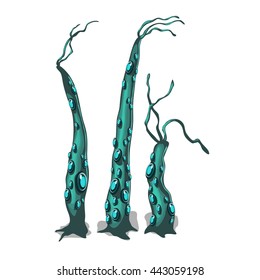 The growth stage marine coelenterates. Vector illustration.