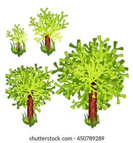 The growth stage of marine plants, isolated on a white background. Vector illustration.