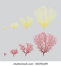 The growth stage of red and yellow coral isolated on a grey background. Vector illustration.