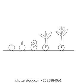 Growth Stages of a Plant Minimalist Line Art