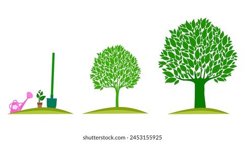 growth stages of a tree from a green leaf to a natural plant. Concept of plant growth. Vector illustrations with phases plant growth. Flash trendy style.