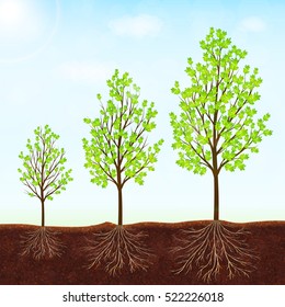 Growth of the tree vector background