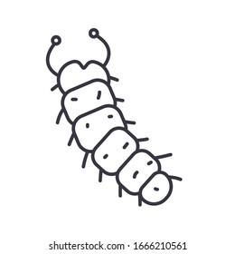 icono de insecto grub sobre fondo blanco, estilo de detalle de línea, ilustración vectorial