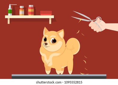Grumer makes the dog a haircut. Vector illustration