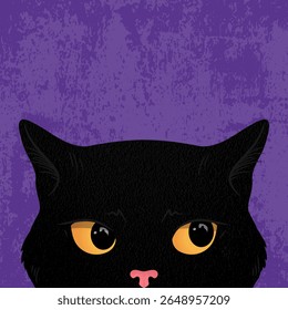 Grumpy black peeking cat. Cat with big yellow eyes is looking out of grunge purple background. Vector illustration