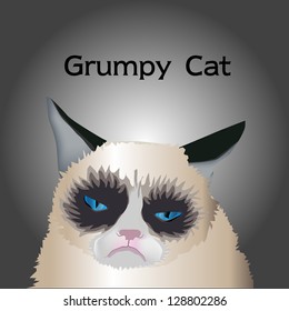 Grumpy Cat