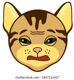 grumpy cat disgusted emoticon, simplistic facial expression vector illustration, cartoon character, simple hand drawn icon from a set