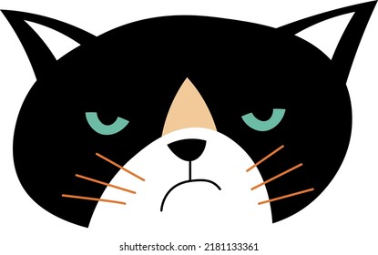 Grumpy cat, isolated portrait of cartoon character with angry muzzle. Sad or furious expression on kitty face. Feline animal with whiskers and black fur, upset kitty snout. Vector in flat style