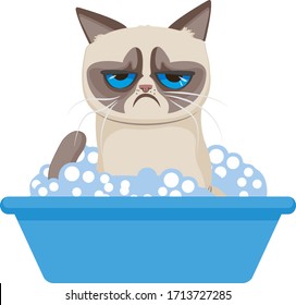 grumpy cat washes in a basin