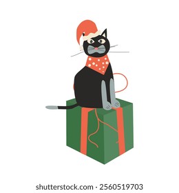 Grumpy Christmas cat  with christmas box. Cartoon vector style.