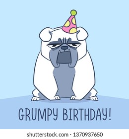 Grumpy English Bulldog puppy dog celebrating with a party hat and a frown and serious strong scary face. Unamused Birthday Boy. Funny greeting card for dad with a humorous phrase, ironic holiday wish.