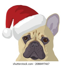 Grumpy French Bulldog Dog in Santa Hat Dog in a Christmas Costume Santa Dog High Quality Vector