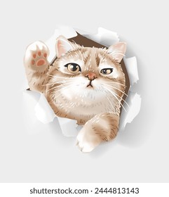 grumpy kitten in paper hole hand drawn vector illustration