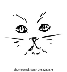 Grumpy persian cat face vector ink illustration on white background